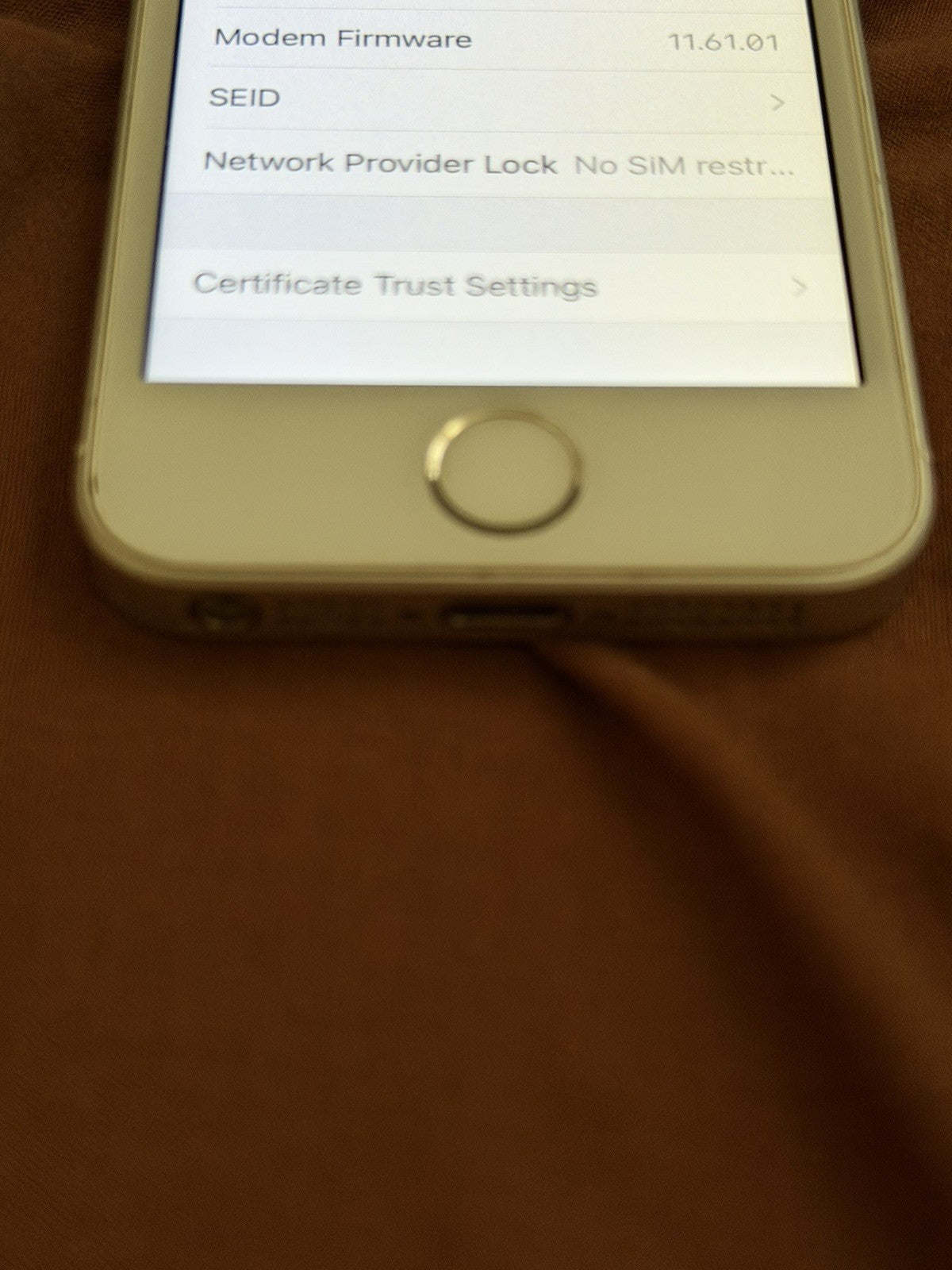 iPhone SE 16gb Silver Unlocked - 100% 🔋